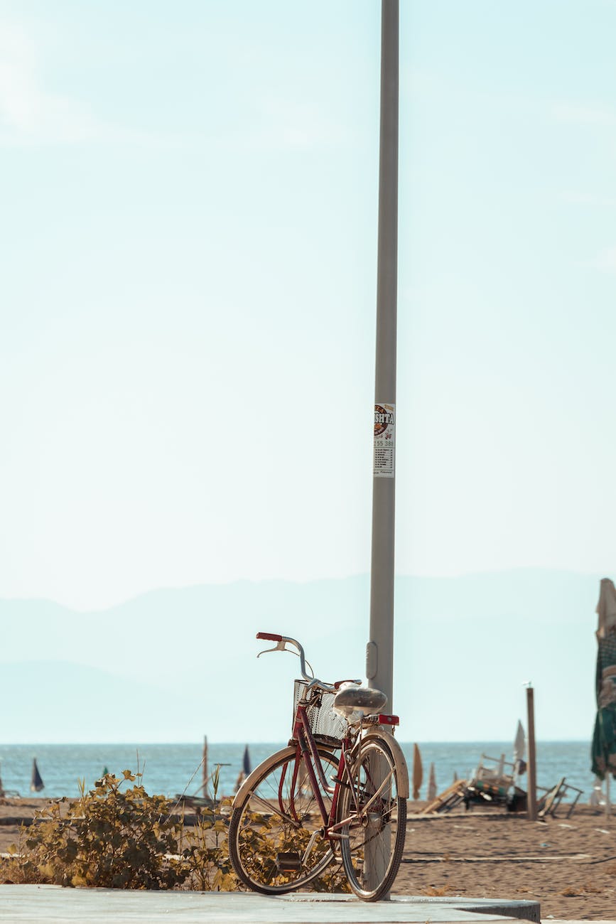 Summer Ruminations (a catena&nbsp;rondo)